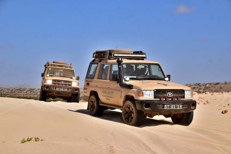 Discover Boa Vista's beaches and dunes!
