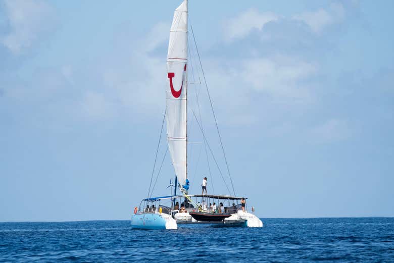 Izando la vela del catamarán