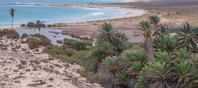 Tour por el noreste de Boa Vista + Playa de Ervatão