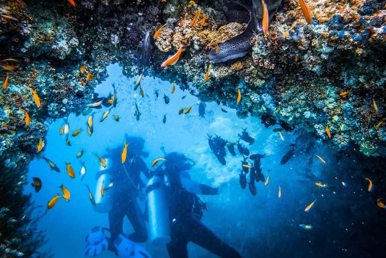 Exploring the marine depths off Sal island