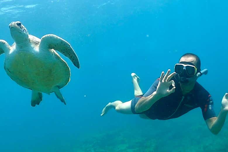 Buceando en Cabo Verde