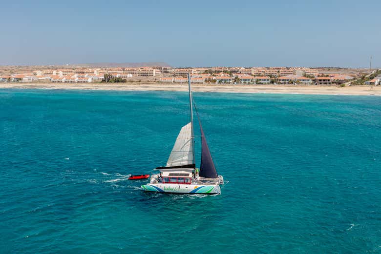 El catamarán en el que navegaremos