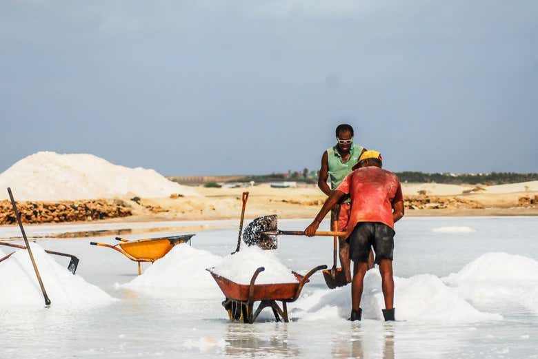 Trabalhadores das salinas