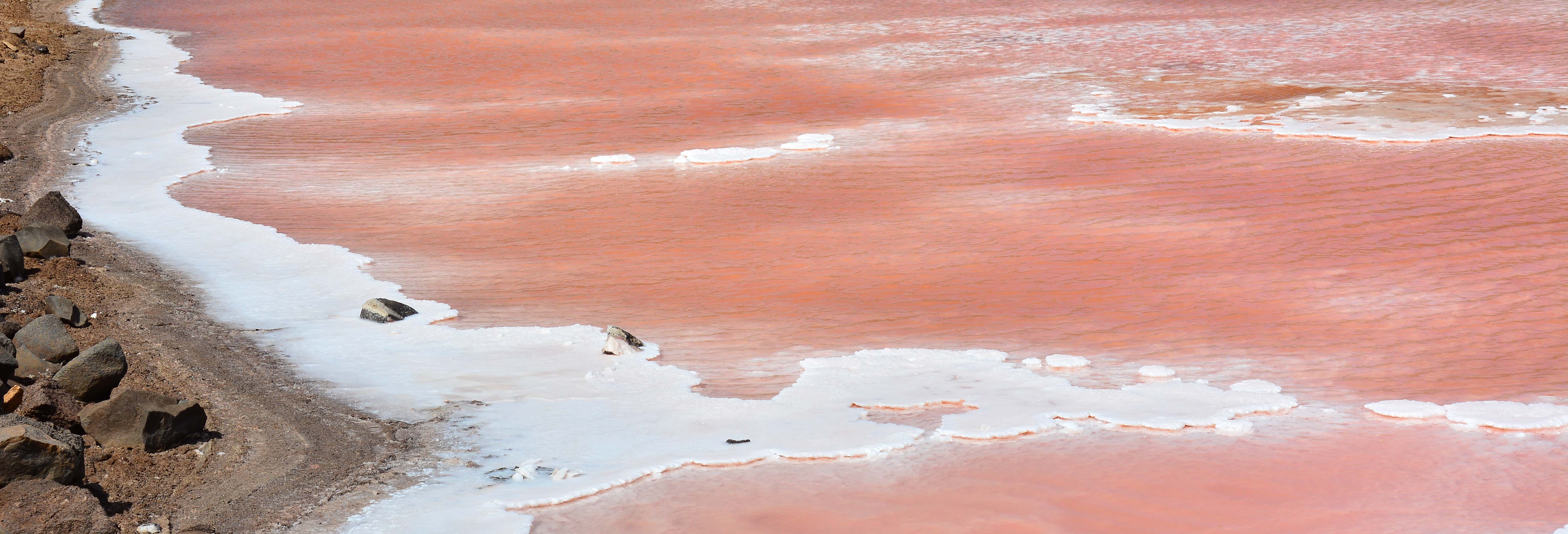 Visitas guiadas y free tours en Santa María