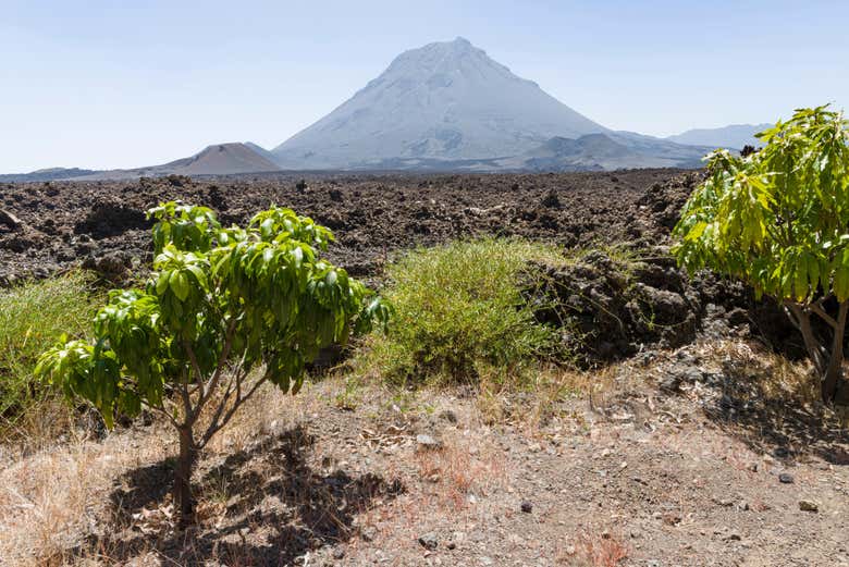 Vistas del volcán Fogo