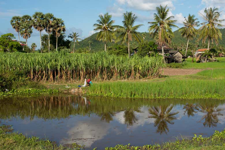 Rural area of Battambang