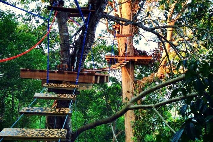 Plataformas en los árboles