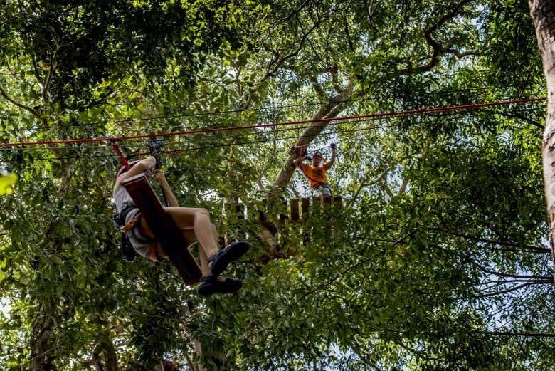 Recorriendo las copas de los árboles