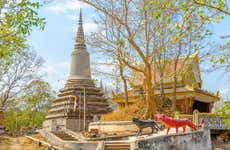 Wat Vipassana Dkurak & Udong Private Day Trip