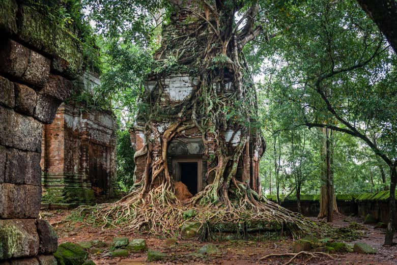 Paisajes de Koh Ker