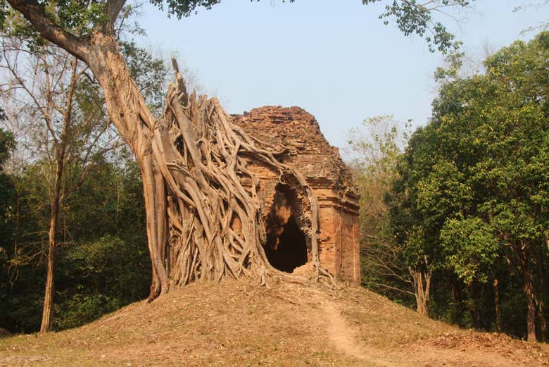 Temple ruins amongst overgrowing jungle