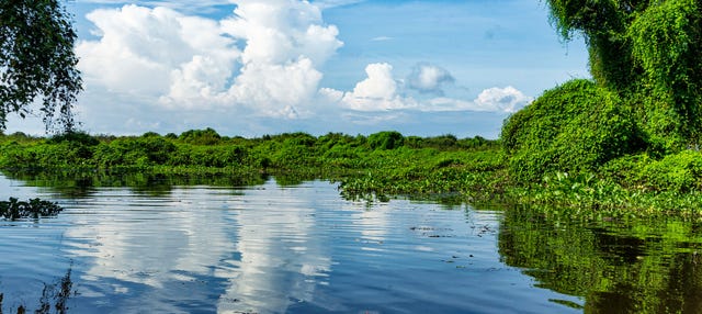 Paseo en barco por el lago Tonlé Sap