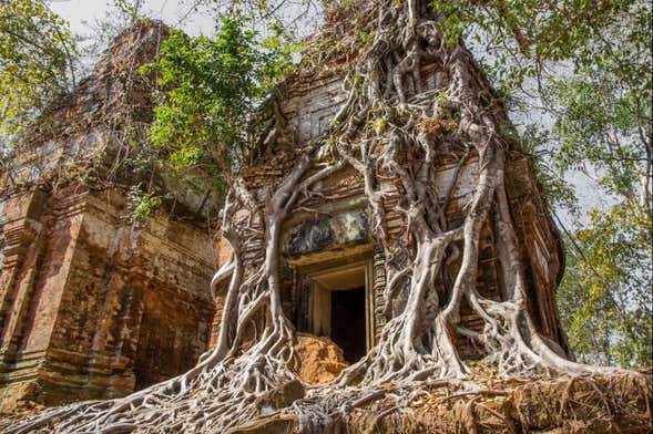 Koh Ker Temples Day Trip