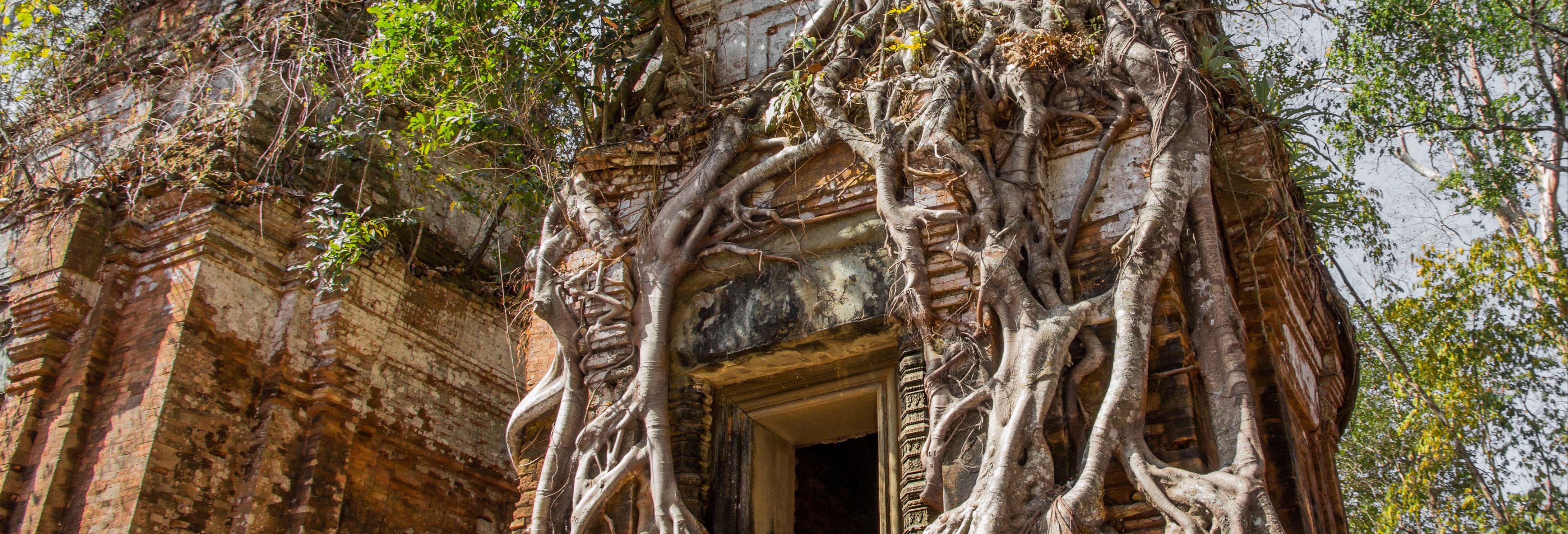 Day trips in Siem Reap