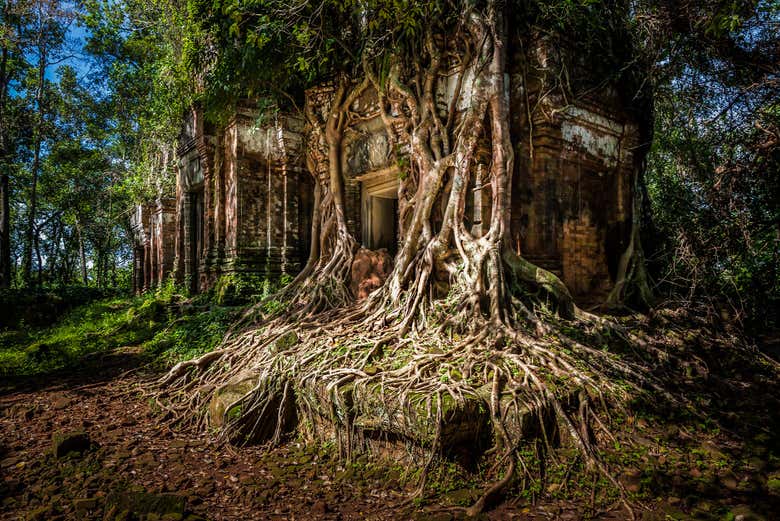 Temples in the jungle at Koh Ker