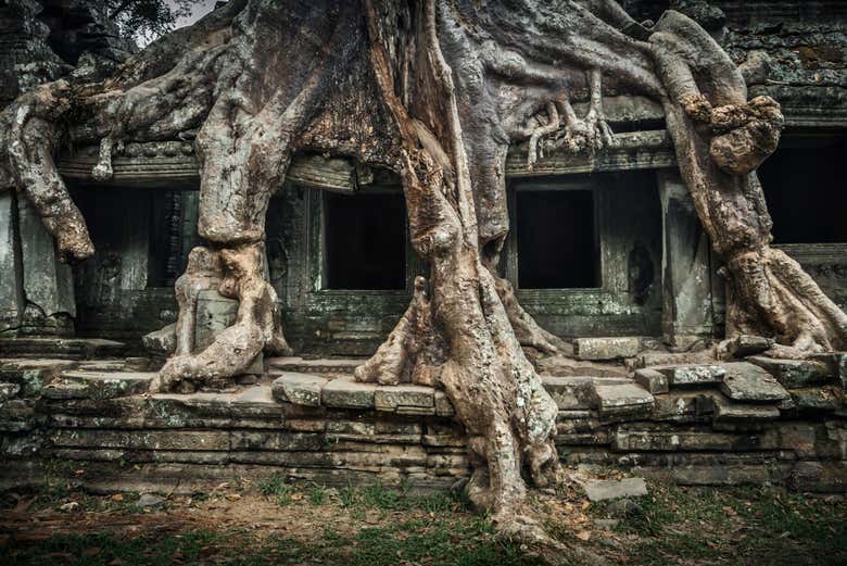 Preah Khan