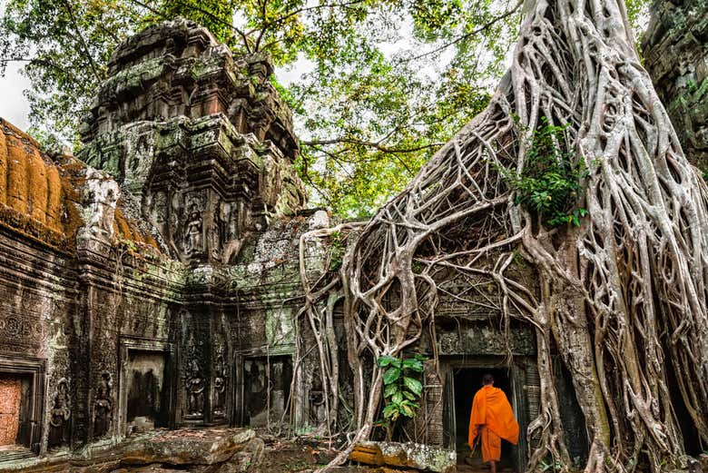 Templo Ta Prohm