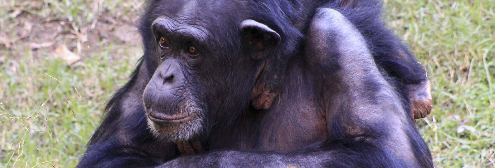 Excursiones de un día en Duala