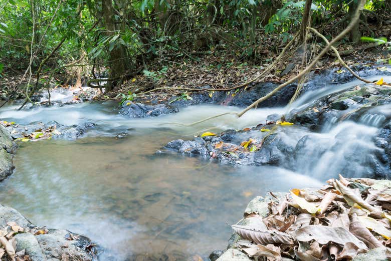 Nei dintorni delle cascate