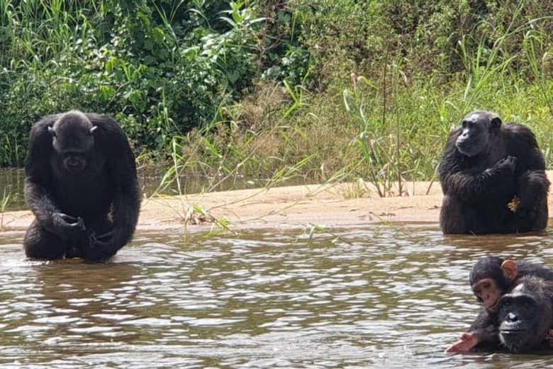 Un bagno nel fiume della riserva