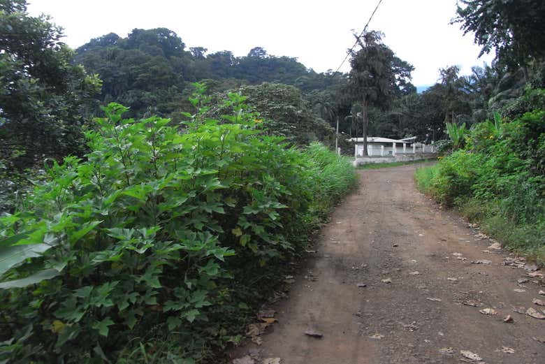 Explorando Limbe