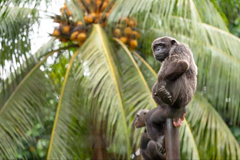 Conoscendo gli animali della zona