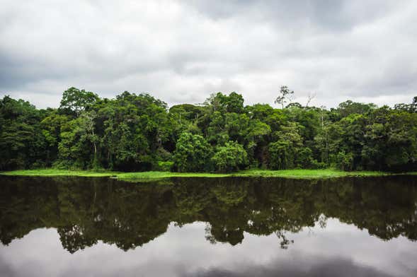 Cameroon Nature Reserve Tour