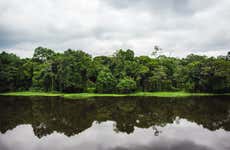 Excursão ao Parque Nacional Mefou e reserva florestal Ebogo
