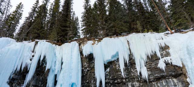Excursão às cascatas congeladas do Johnston Canyon