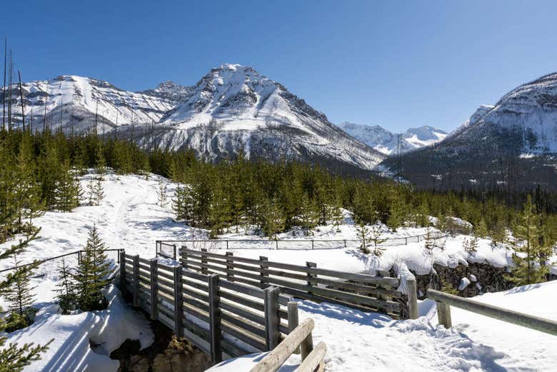 Marble Canyon