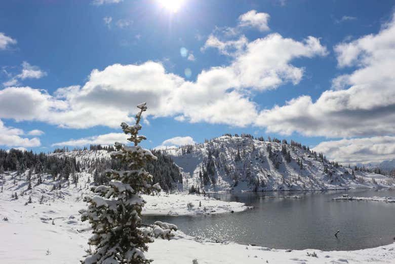 Vue panoramique de Sunshine Meadows