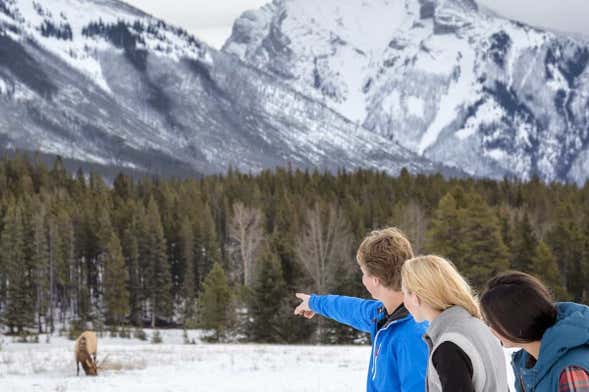 Tour di Banff