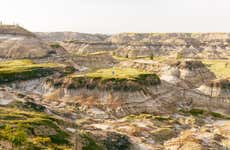 Excursión a Drumheller y las Badlands