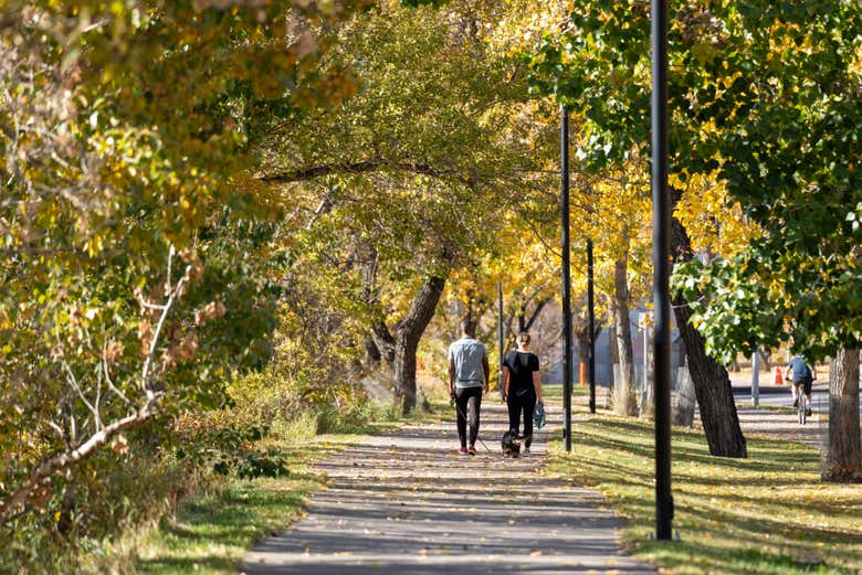 Walk along the Bow River Pathway