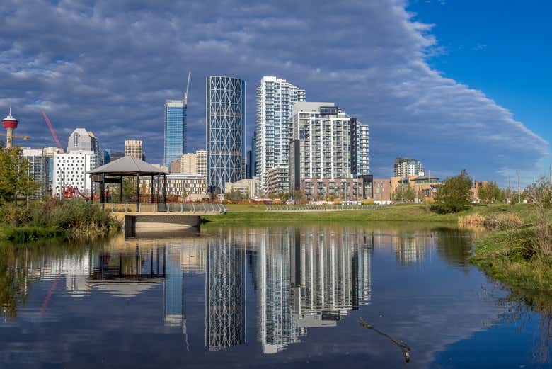 Take in Calgary's skyline