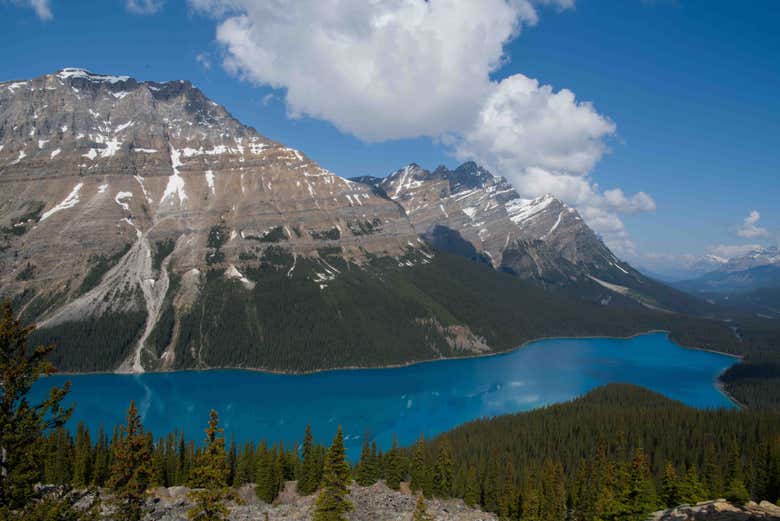Take in breathtaking panoramic views