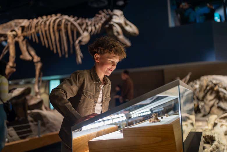 El lugar perfecto para que los niños aprendan sobre dinosaurios
