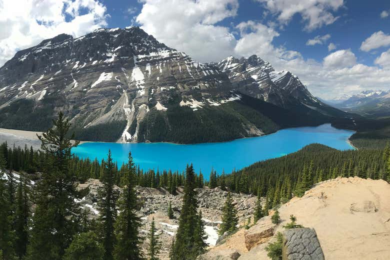 Disfrutaréis de impresionantes vistas panorámicas