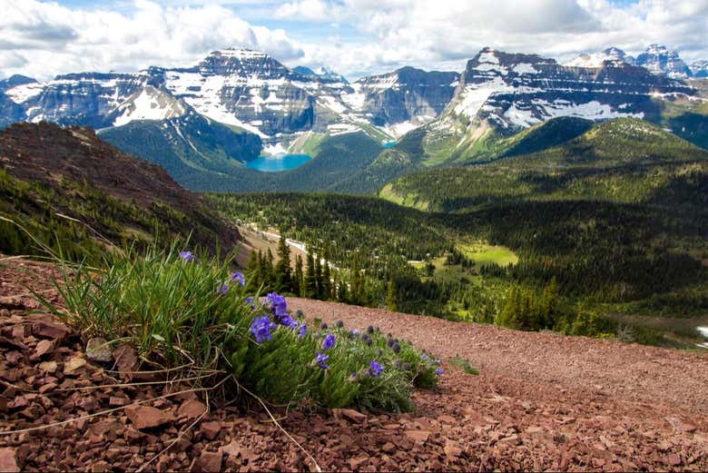 Vistas del Waterton Lake
