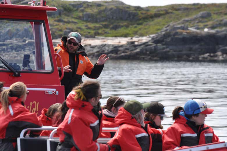 Boat trip in search of whales
