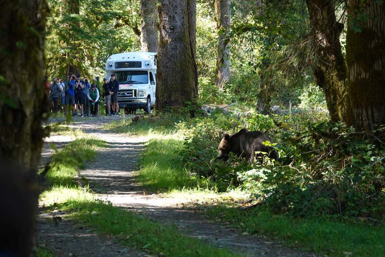 Exemples d'espèces que vous pourrez voir