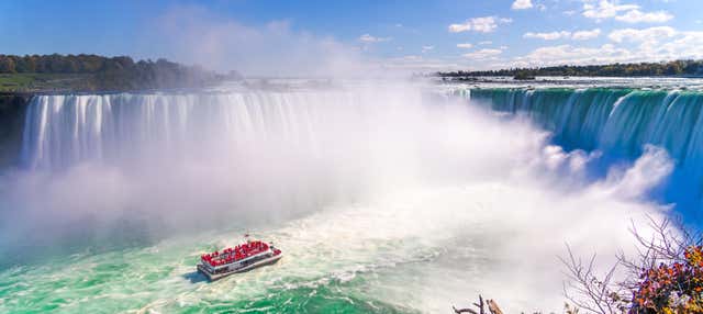 Tour por las Cataratas del Niágara en grupo reducido