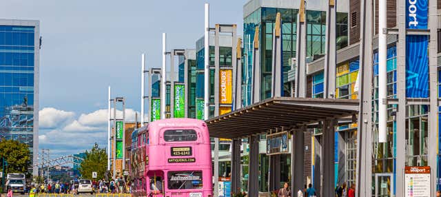 Halifax Hop-On Hop-Off Sightseeing Bus - Book at Civitatis.com