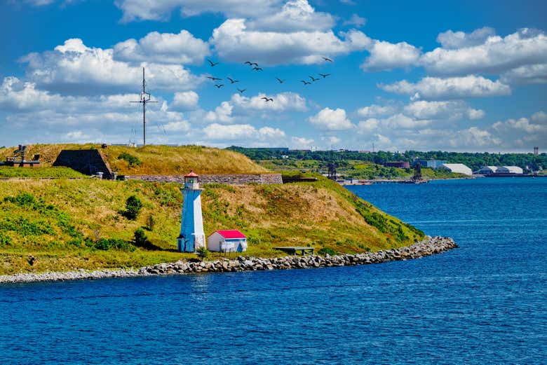 Naturaleza y faro de Halifax