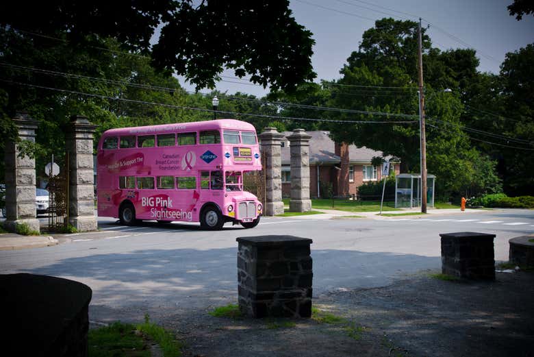 ¿Os venís a recorrer las calles de Halifax?