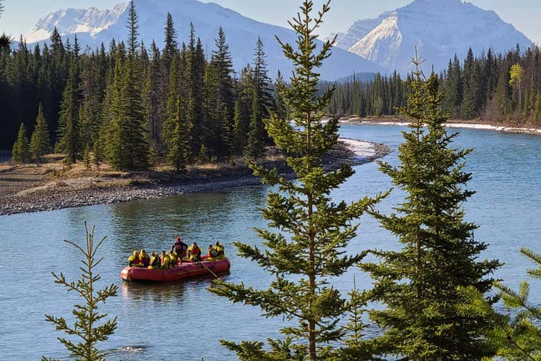 Viaggeremo in un bellissimo ambiente naturale