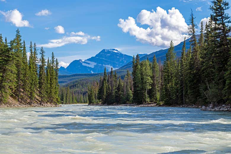 Parco nazionale di Jasper, nello stato canadese di Alberta