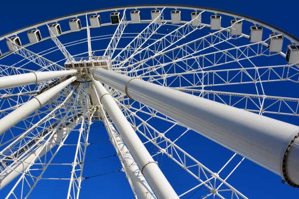 Biglietti per la La Grande Roue di Montreal