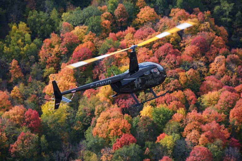 Hélicoptère survolant Montréal