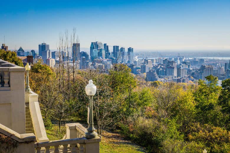 Contemplando los rascacielos de Montreal